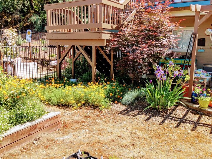 Jazmine Delgado Realtor in Dixon, CA (2)