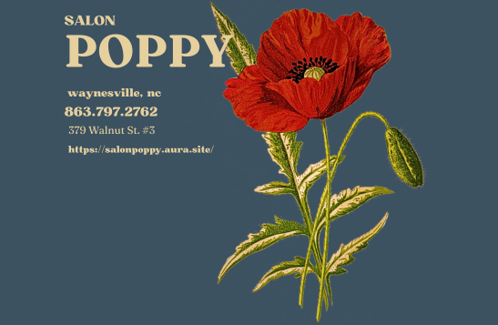 Salon Poppy in Waynesville, NC (3)