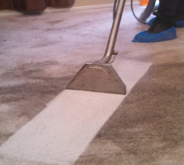 Show Off Carpet Cleaning in Bessemer City, NC (3)