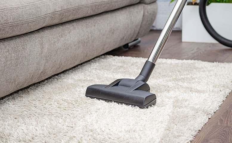 Show Off Carpet Cleaning in Bessemer City, NC (4)