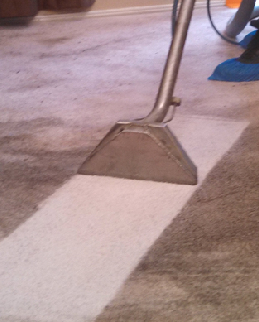 Show Off Carpet Cleaning in Bessemer City, NC (5)