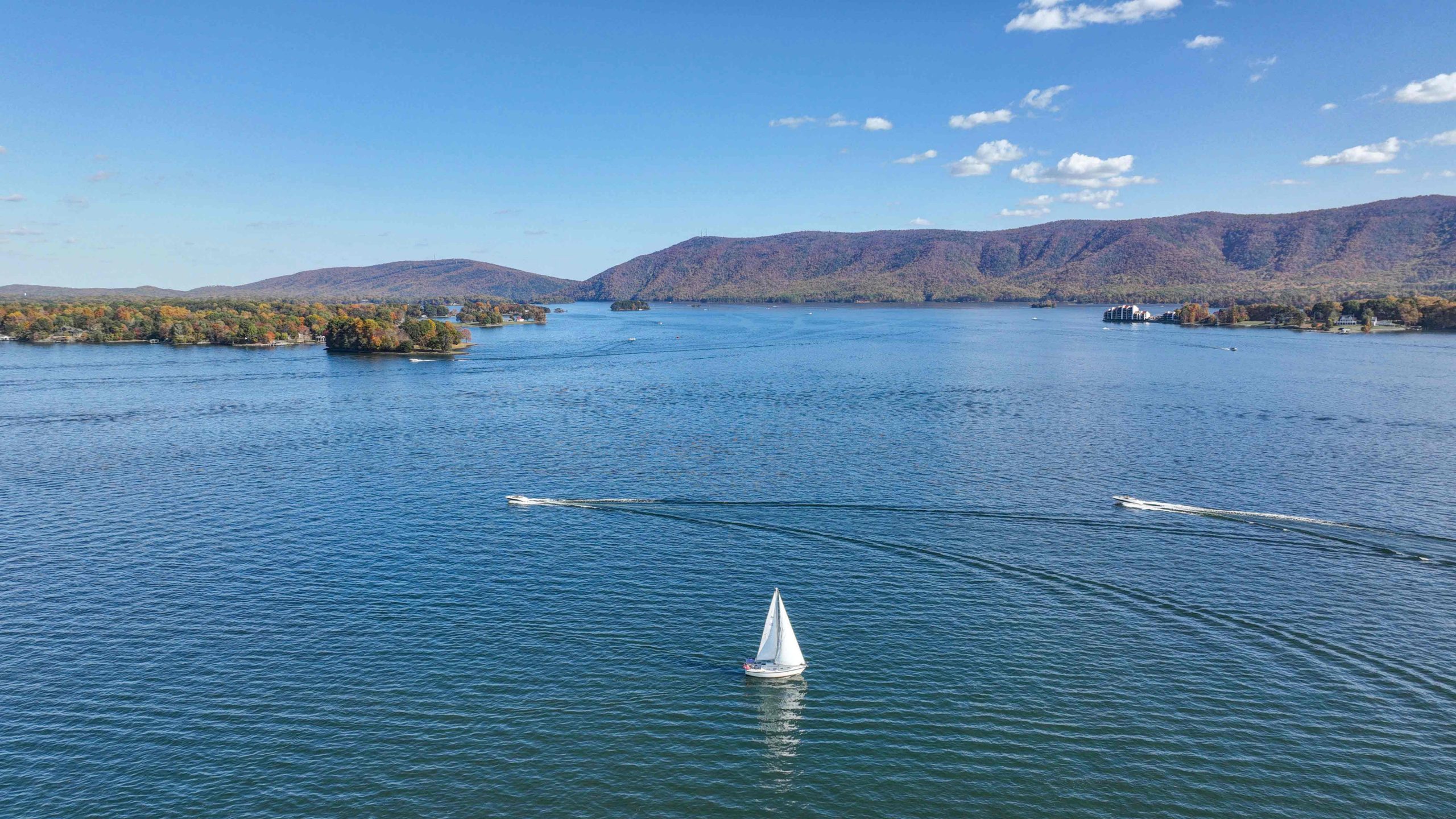 Phyllis & Casey Johnson Re/Max Real Estate Smith Mountain Lake in Moneta, VA (3)