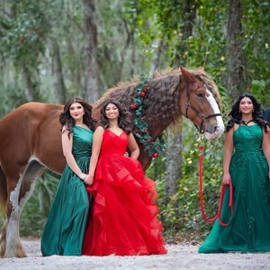 Slayed by Laura in Winter Garden, FL (5)