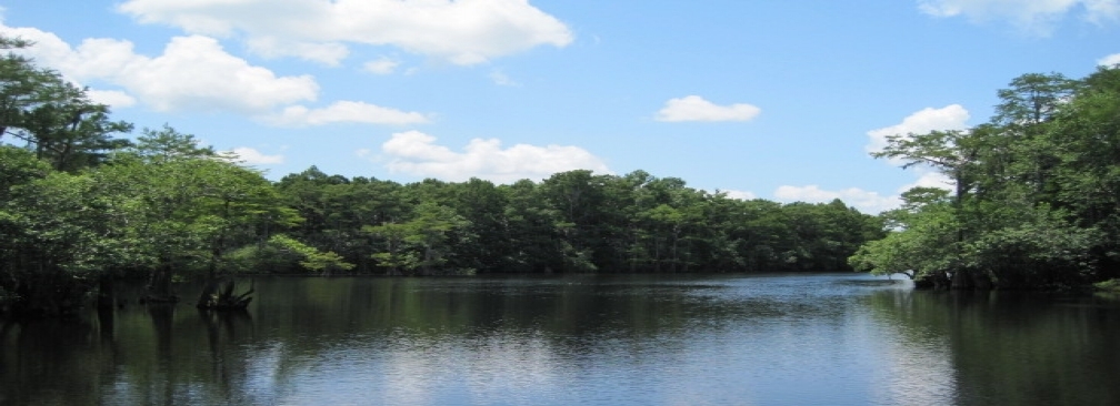Danny Ryals Real Estate in Blountstown, FL (4)