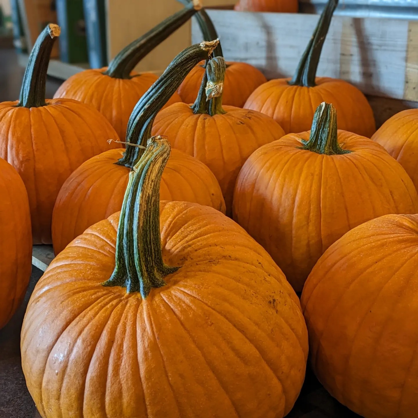 The Market At Rutland Farms in Tifton, GA (2)