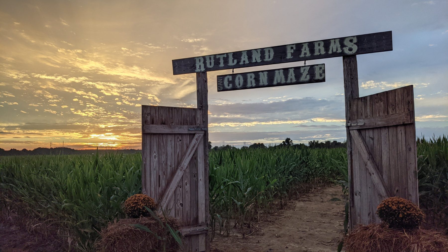 The Market At Rutland Farms in Tifton, GA (3)