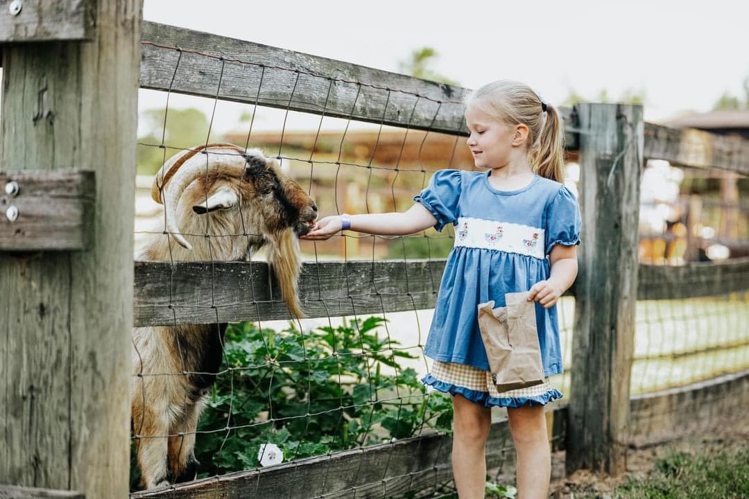 The Market At Rutland Farms in Tifton, GA (6)