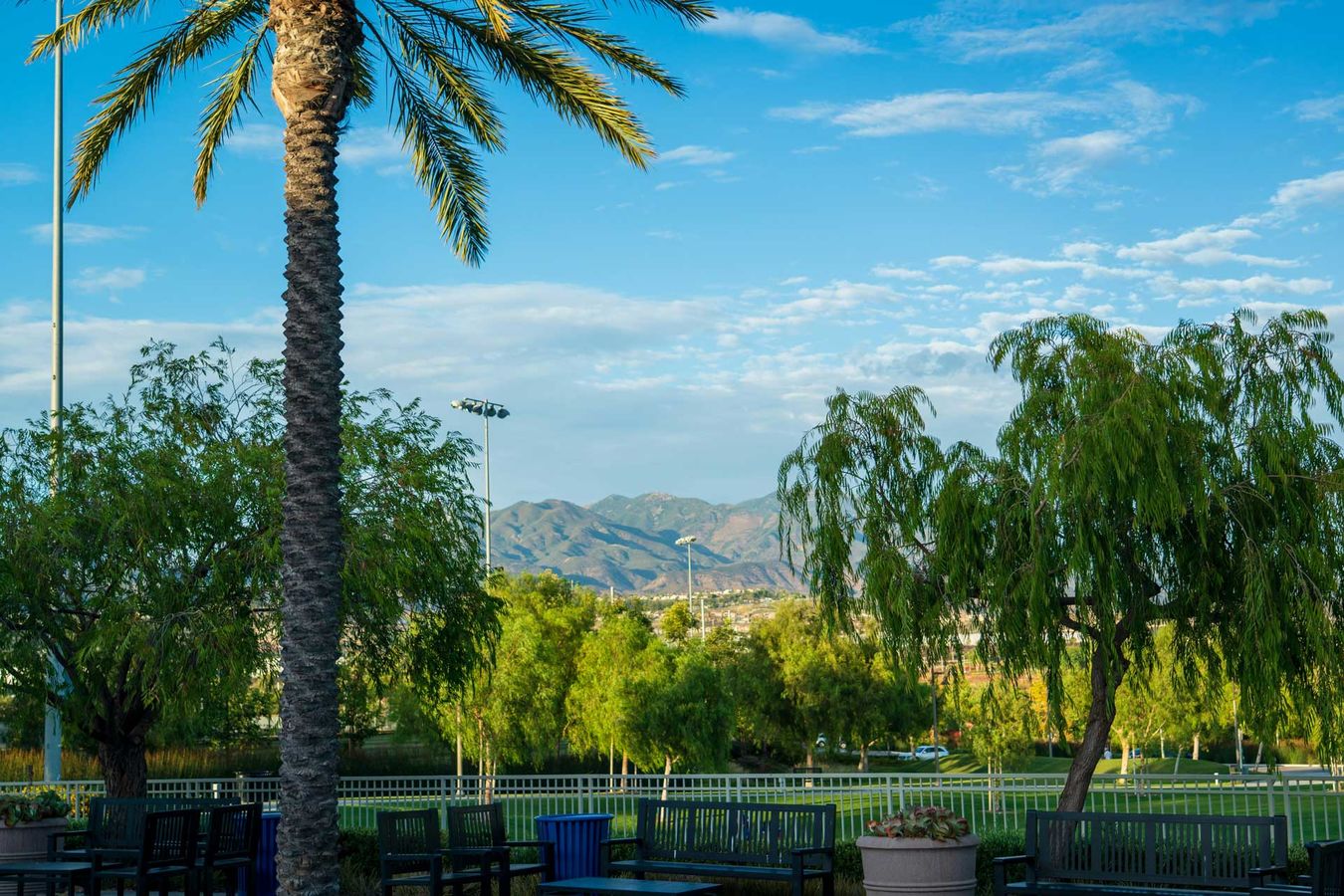 Vanessa Burtle // Real Estate // EXP realty in Cypress, CA (2)