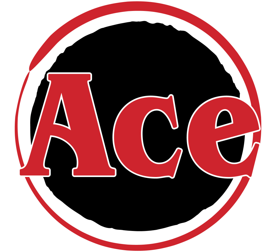 Ace Business Solutions in Hudson Oaks, TX