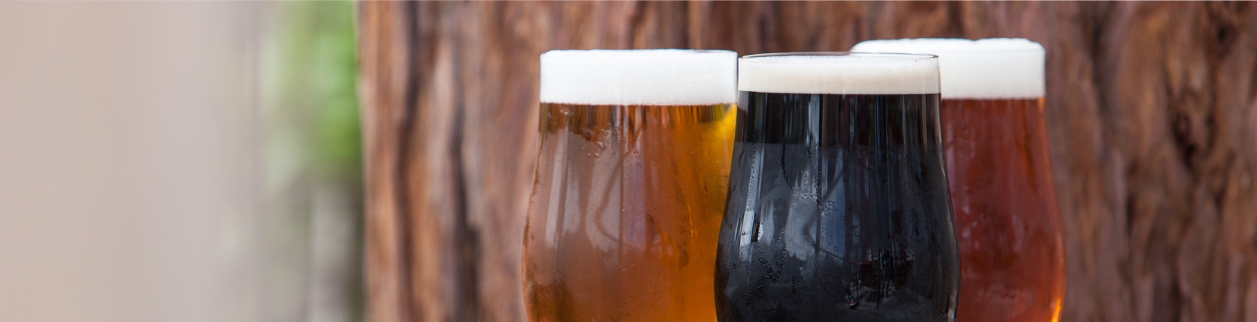 Discretion Brewing in Soquel, CA (4)