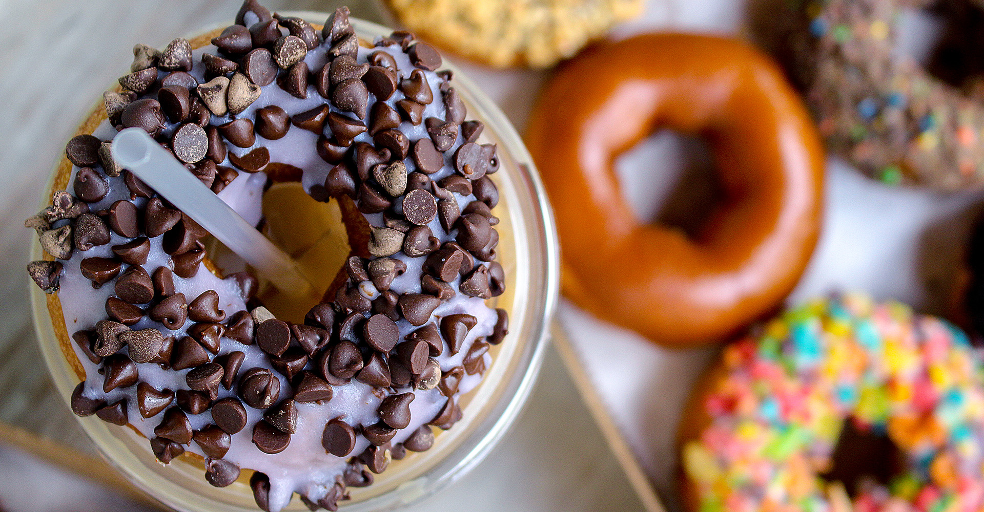 The Donut Experiment in Anna Maria, FL