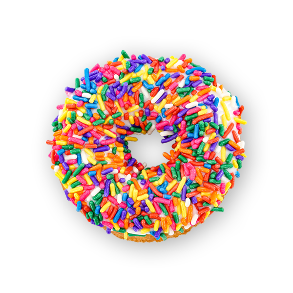 The Donut Experiment in Anna Maria, FL (3)