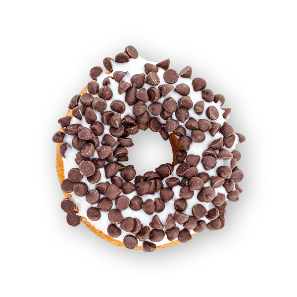 The Donut Experiment in Anna Maria, FL (4)