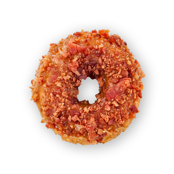 The Donut Experiment in Anna Maria, FL (6)