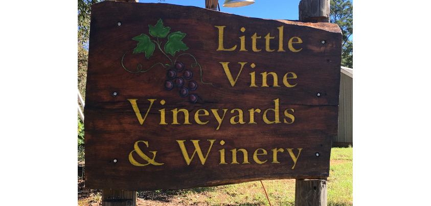 Little Vine Vineyards & Winery in Villa Rica, GA (4)