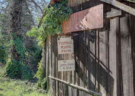 Home Town Realtors in Auburn, CA (3)