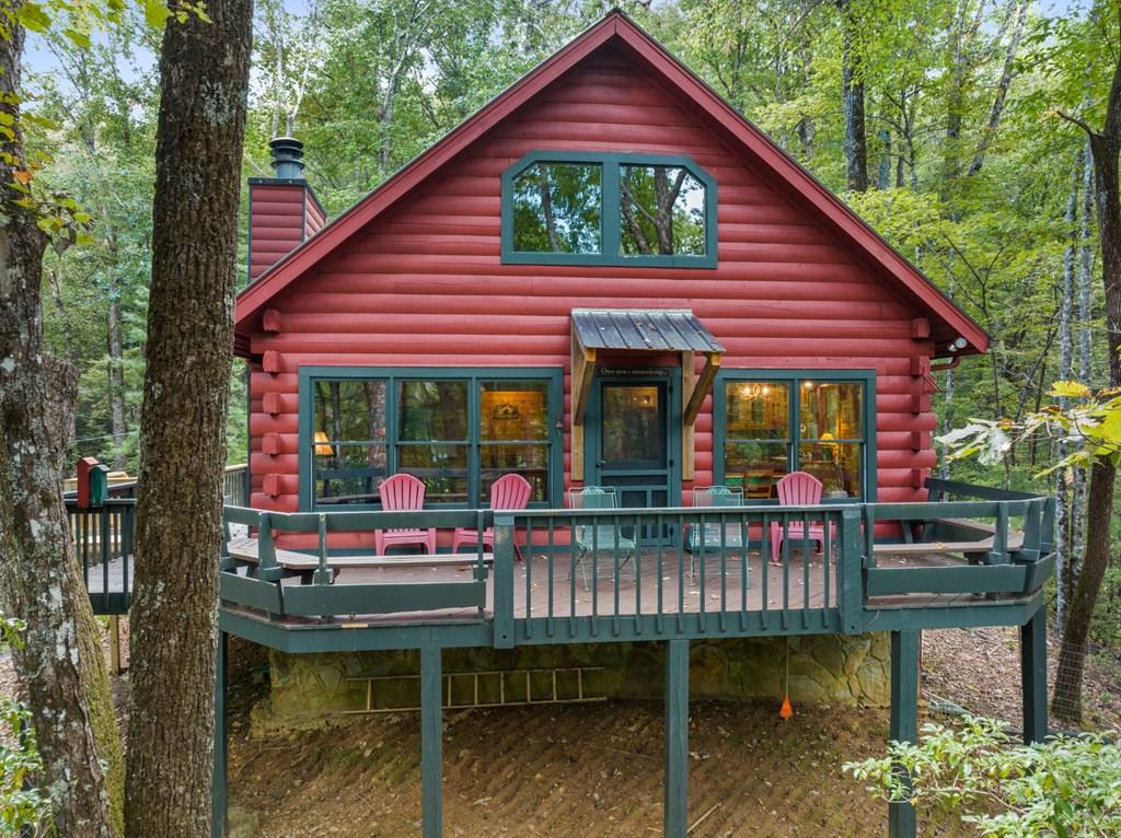 Holly Nelson Team in Blue Ridge, GA (6)