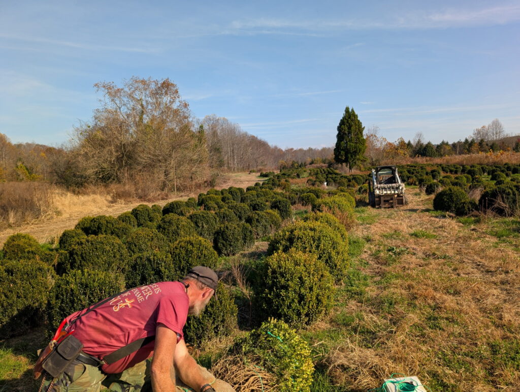 Sugar Plum Farms in Newland, NC (6)