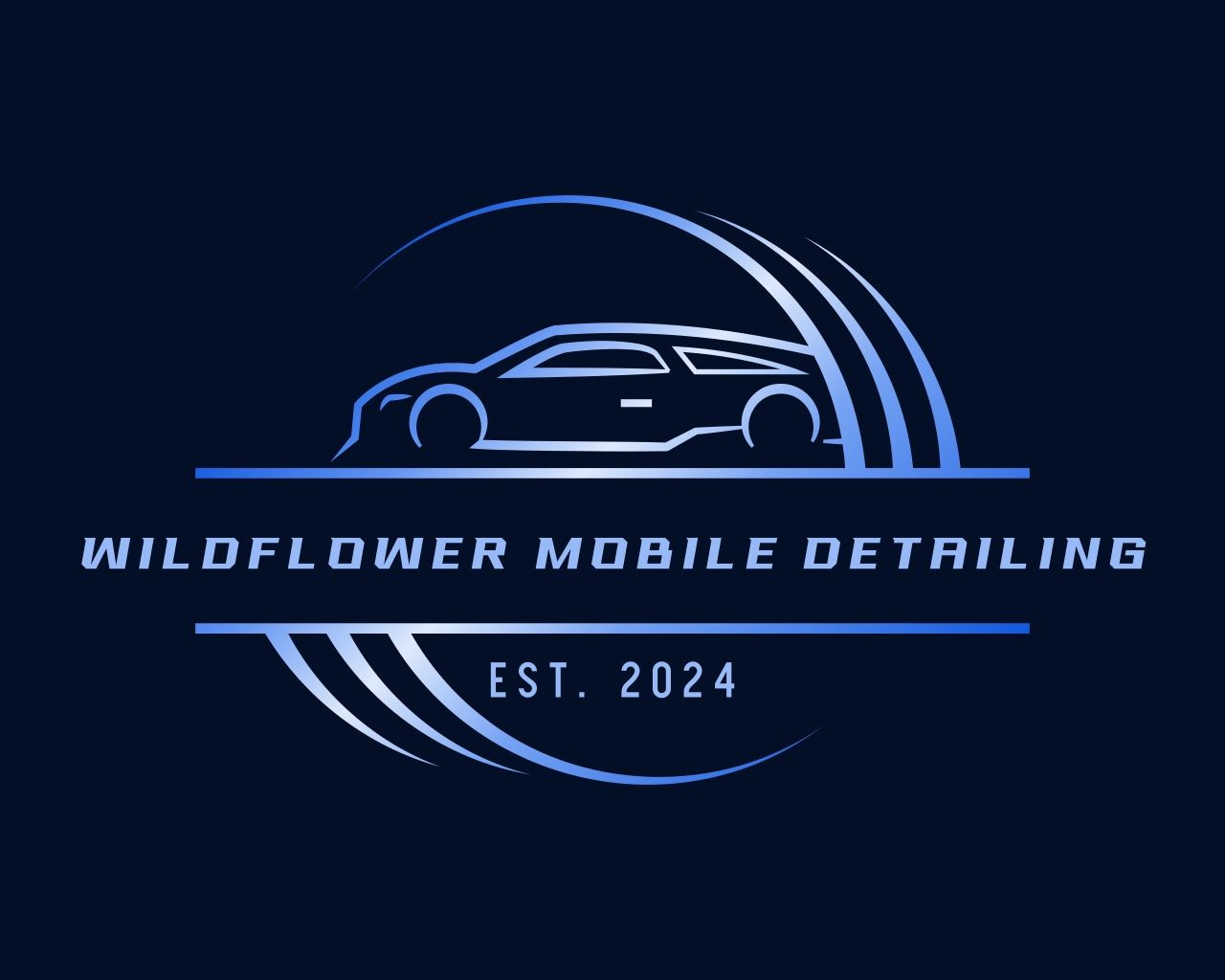 Wildflower Mobile Detailing in Dola, OH (3)