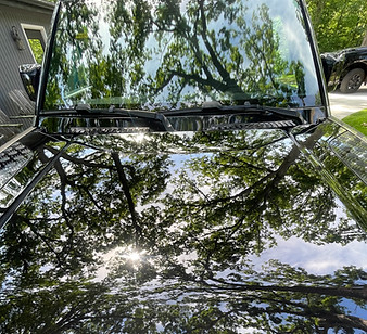 Wildflower Mobile Detailing in Dola, OH (4)