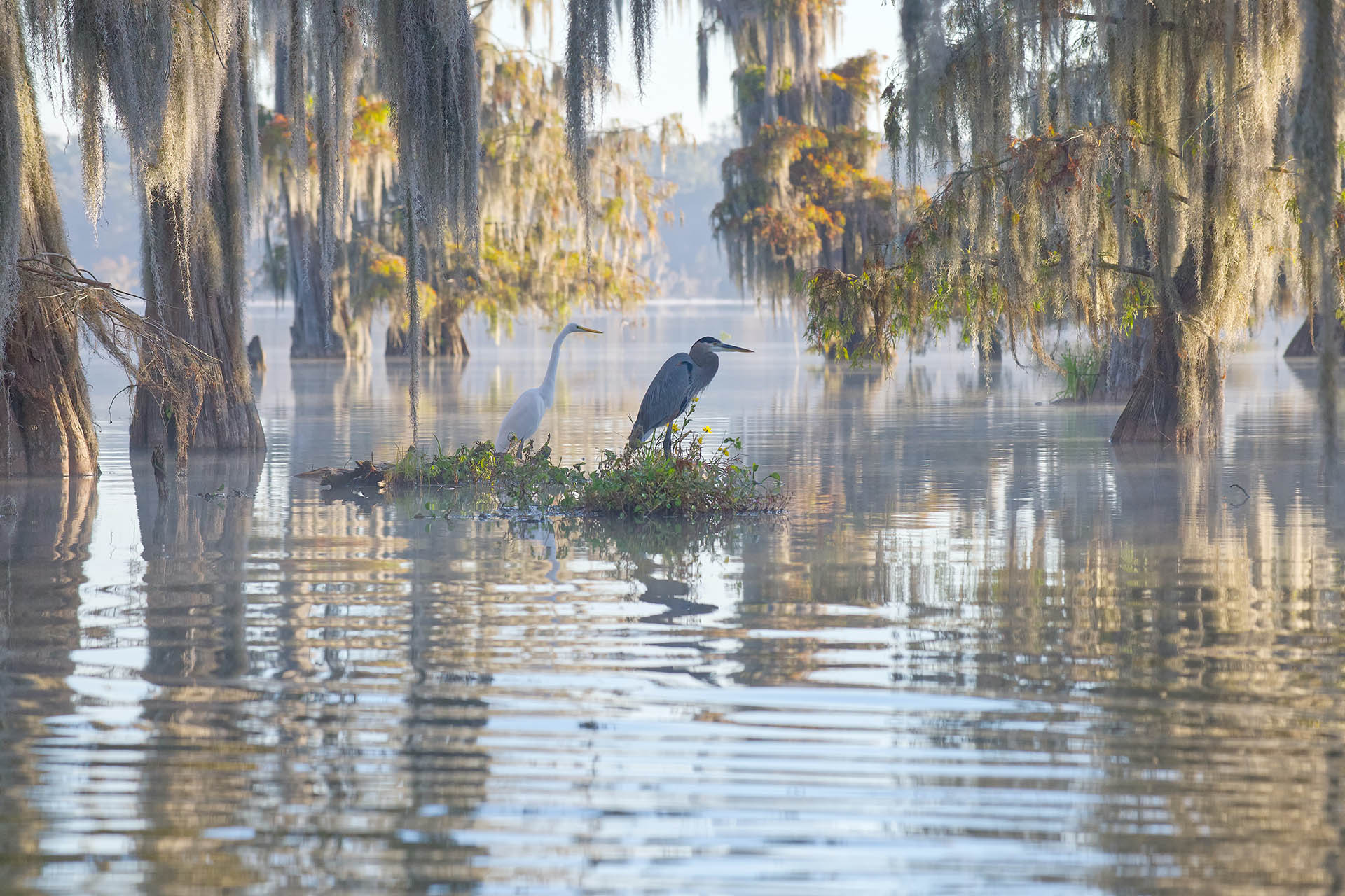 PARKER & OWENS, PLLC CERTIFIED PUBLIC ACCOUNTANTS in Lake City, FL (4)