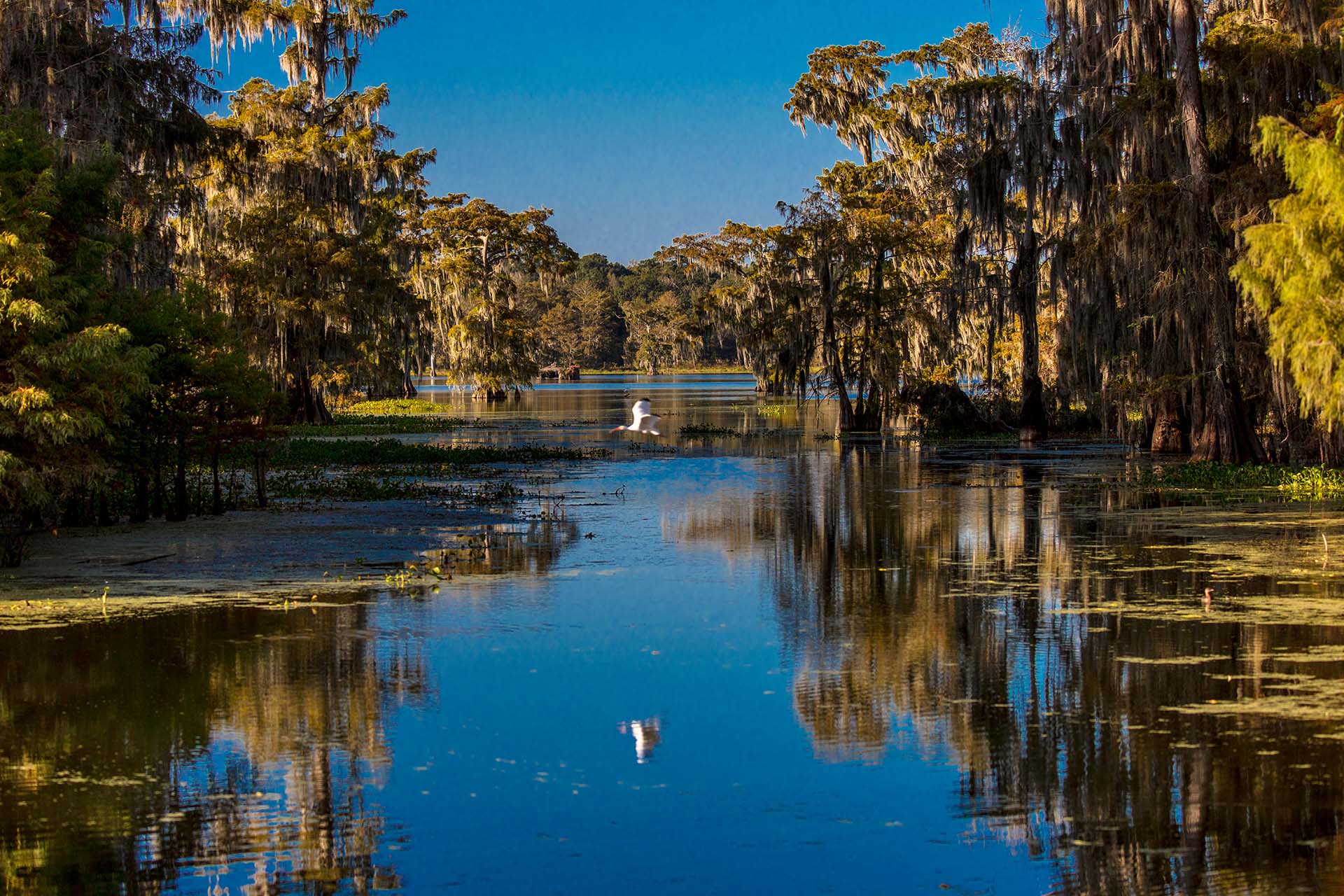 PARKER & OWENS, PLLC CERTIFIED PUBLIC ACCOUNTANTS in Lake City, FL (5)