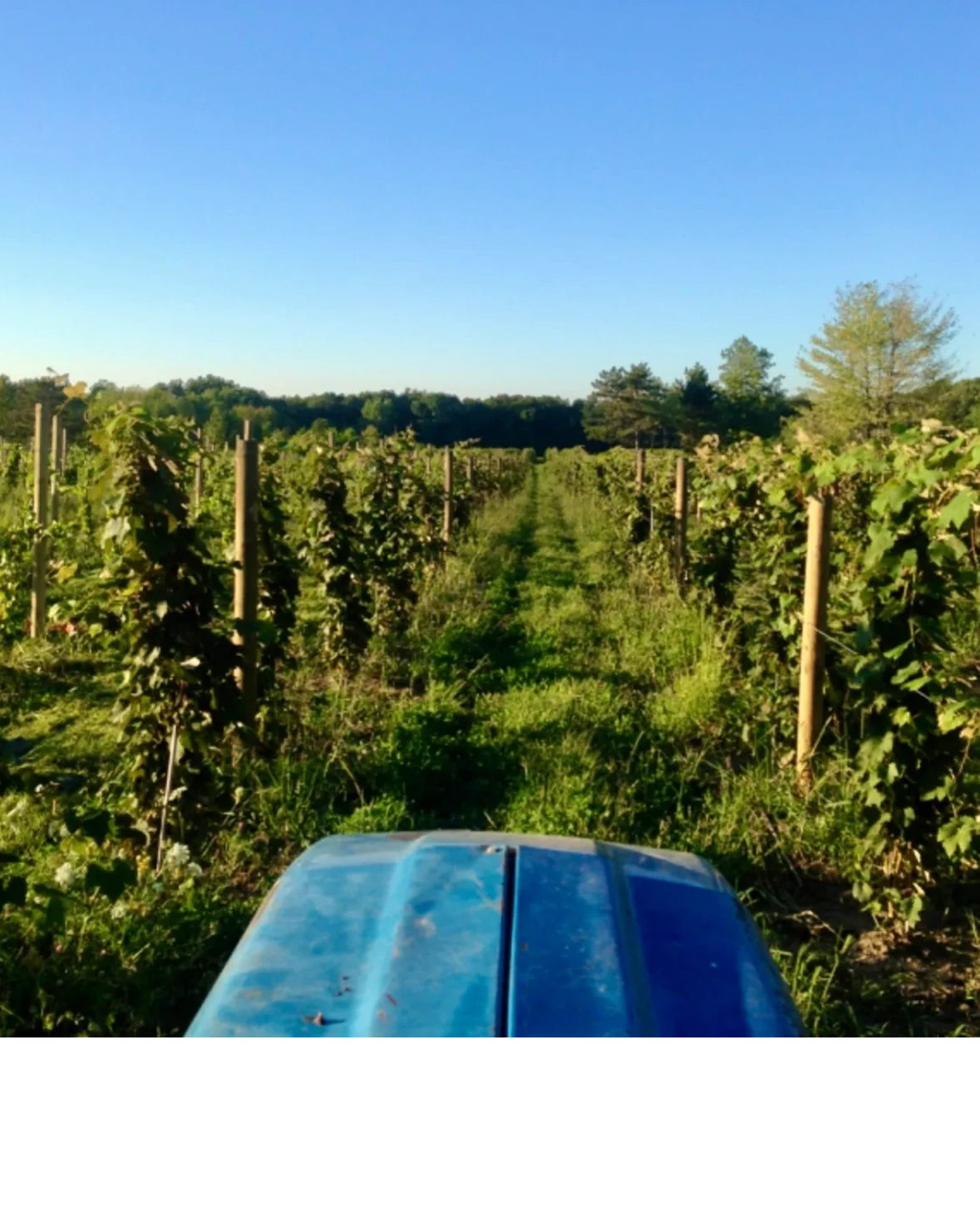 Hundley Cellars in Geneva, OH