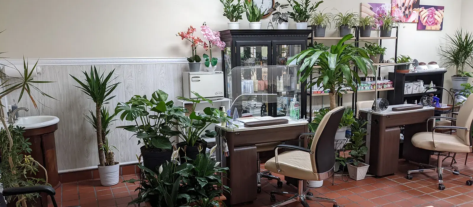 Petite Nail Inc in St. Augustine, FL (2)