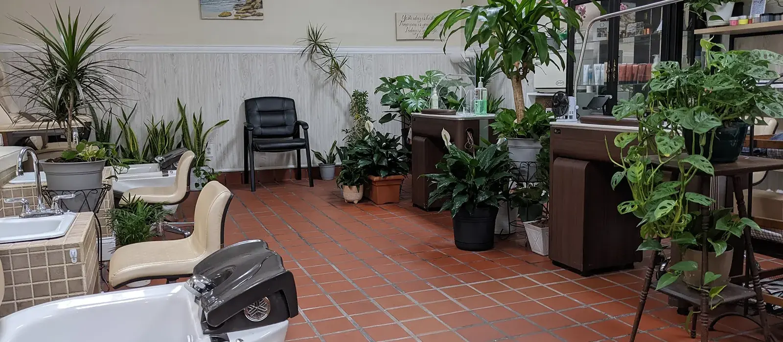 Petite Nail Inc in St. Augustine, FL (3)