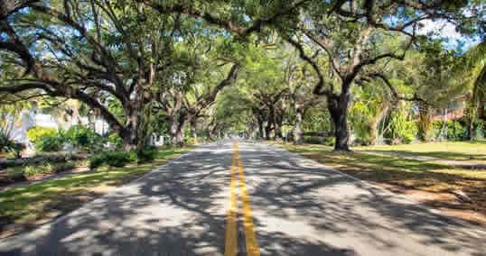 Lisa Fox, Realtor at Coldwell Banker Realty in Coral Gables, FL (6)