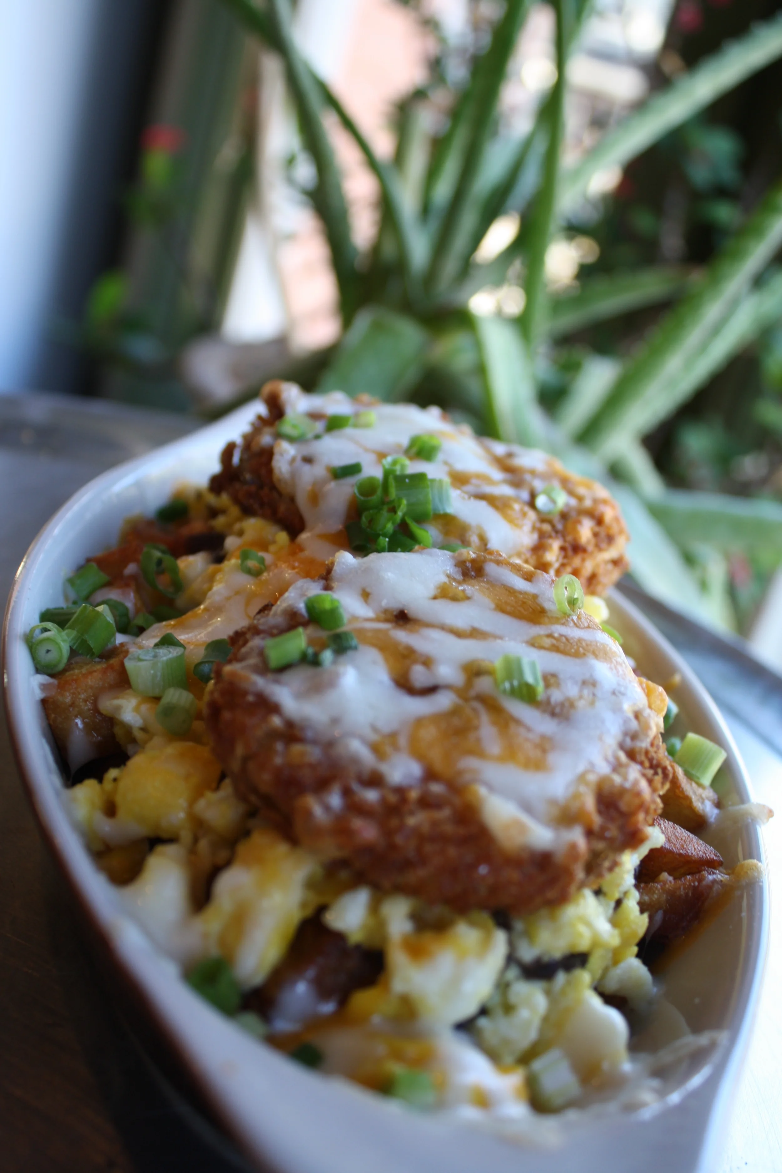 Donderos' Kitchen in Athens, GA (3)