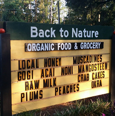 BACK TO NATURE in Bluffton, SC (3)