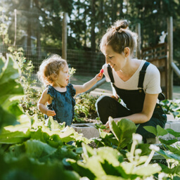 Cashman Law: Business Law and Estate Planning in Menlo Park, CA (3)
