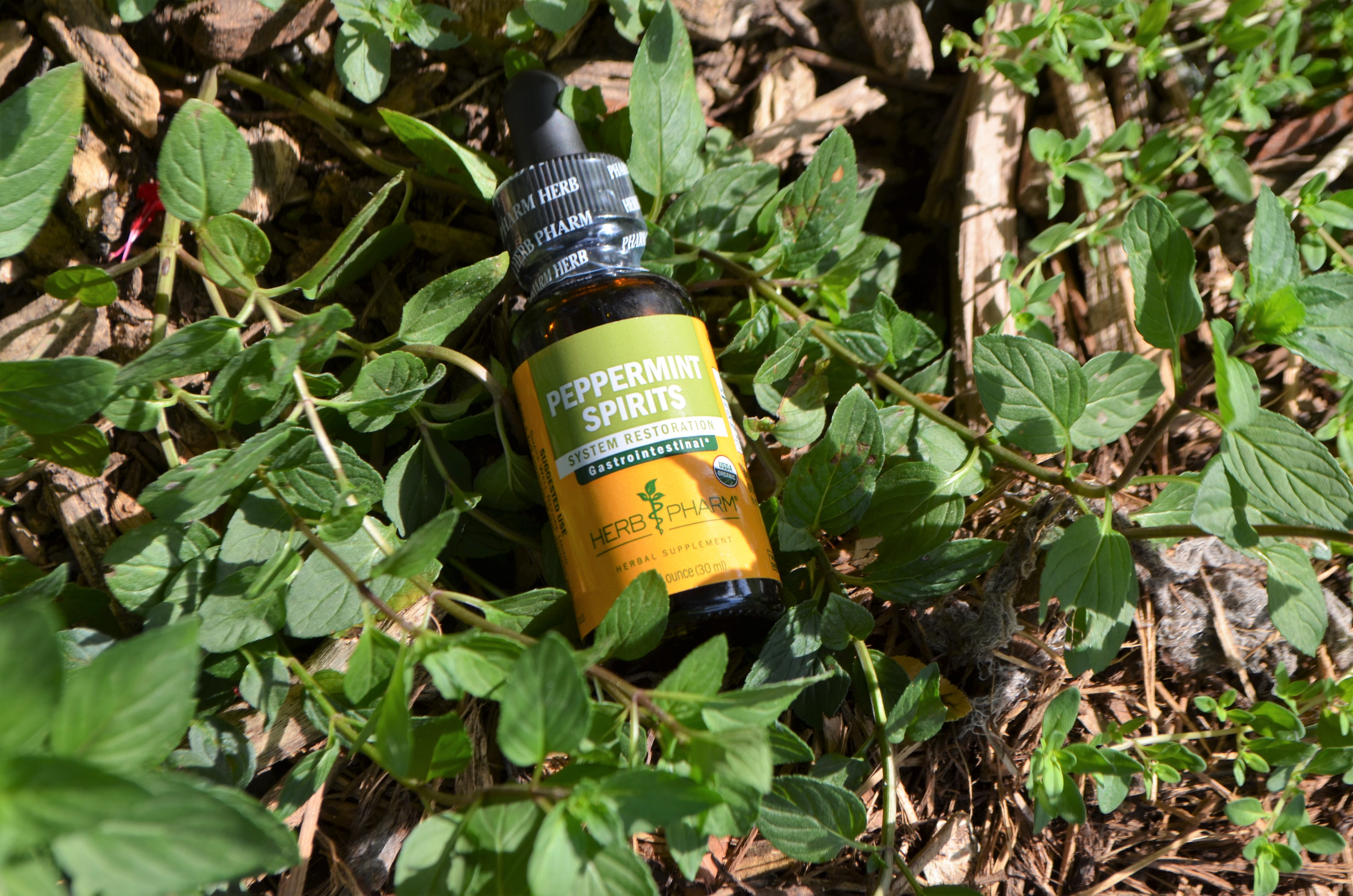 Sacred Moon Herbs in Dripping Springs, TX (2)