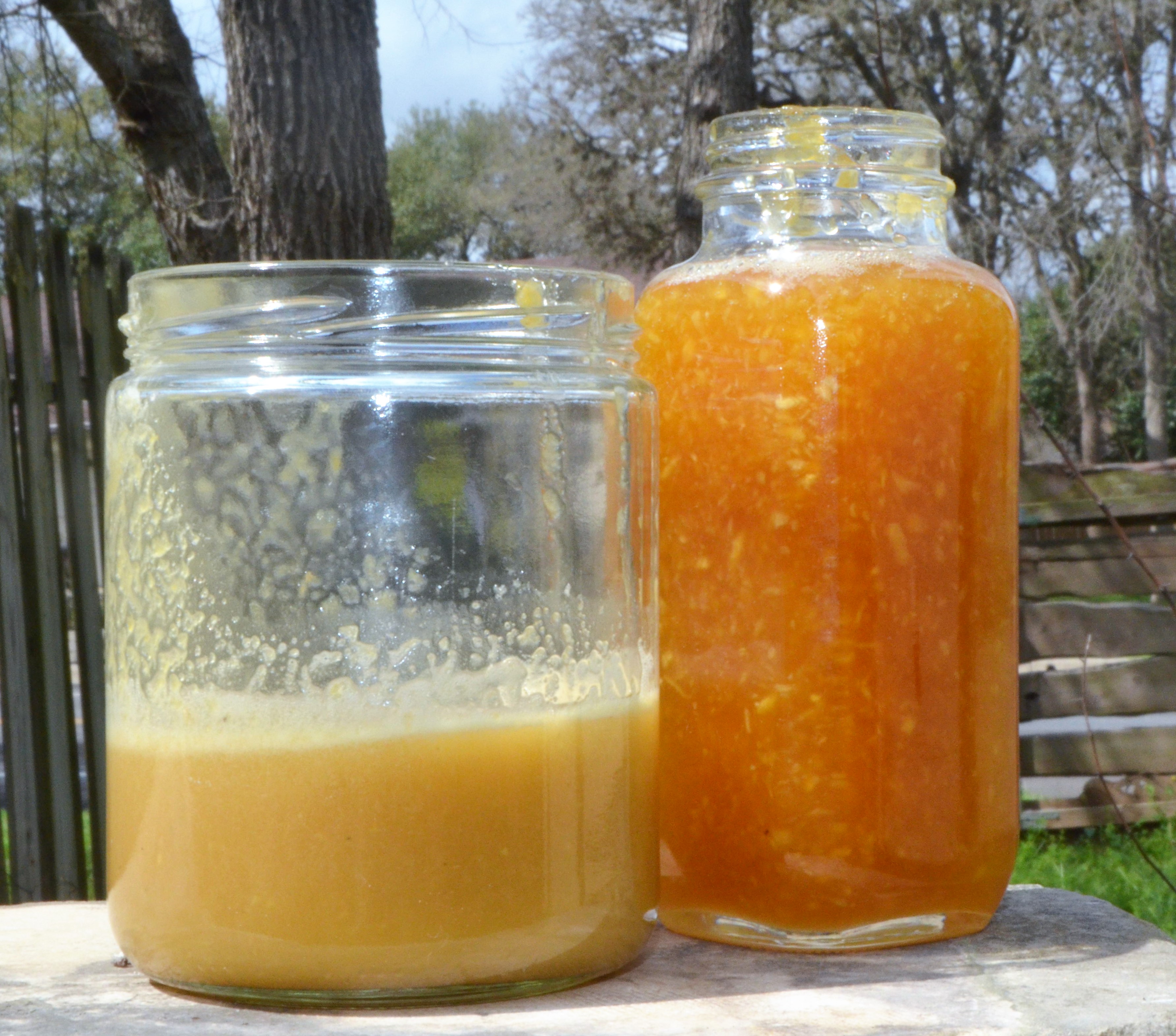 Sacred Moon Herbs in Dripping Springs, TX (3)