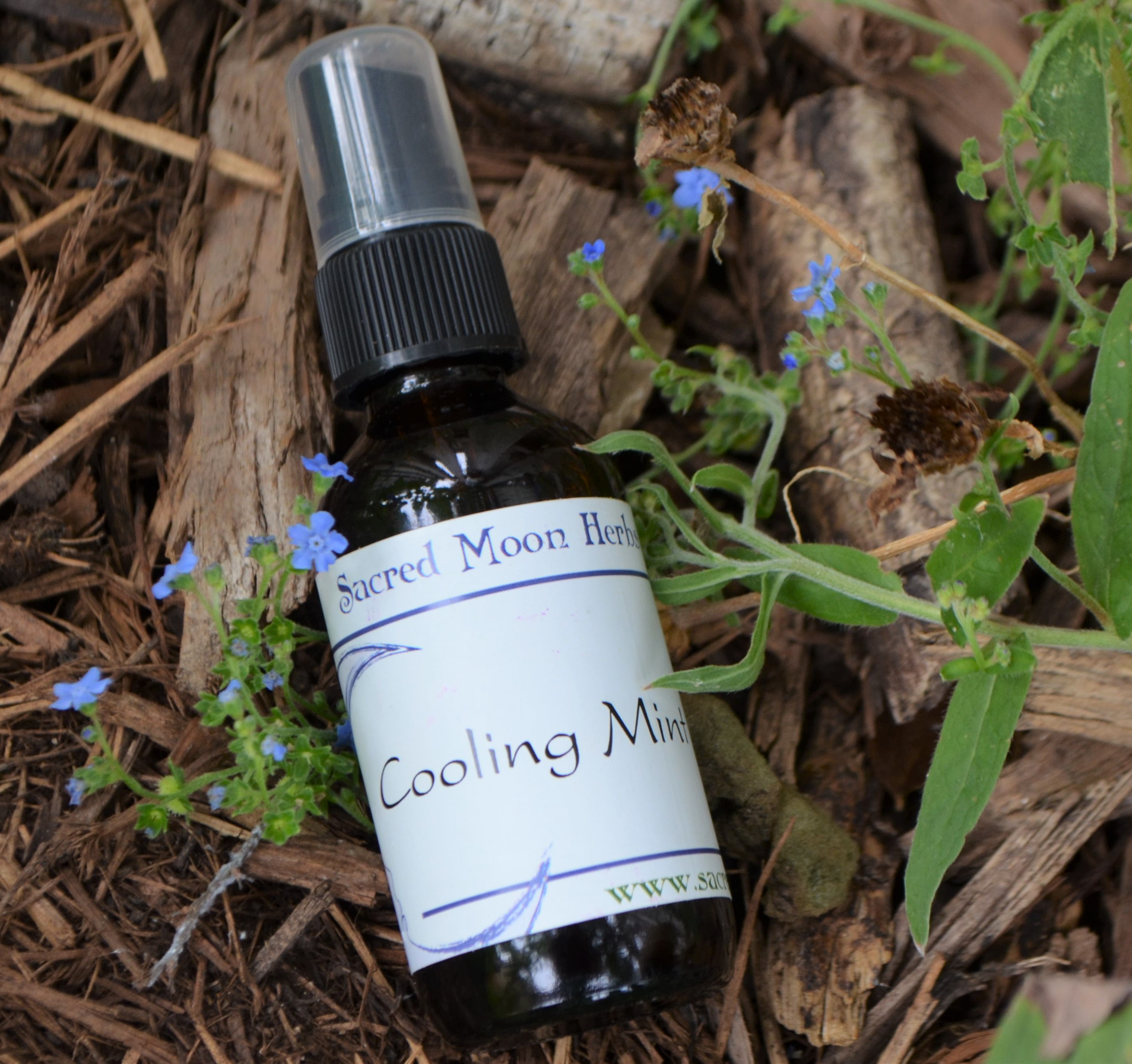 Sacred Moon Herbs in Dripping Springs, TX (6)