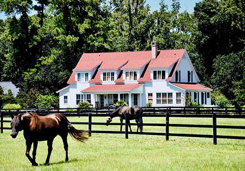 The Ocean Broker | Hilton Head Real Estate Agency in Hilton Head Island, SC (6)