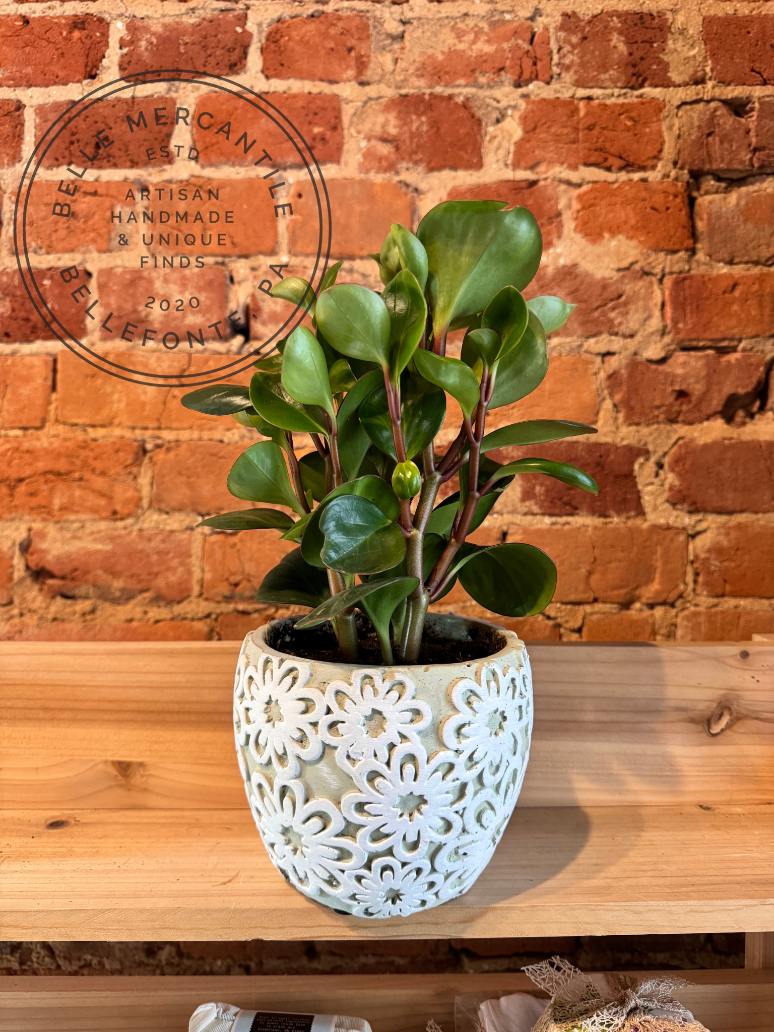 Belle Mercantile in Bellefonte, PA