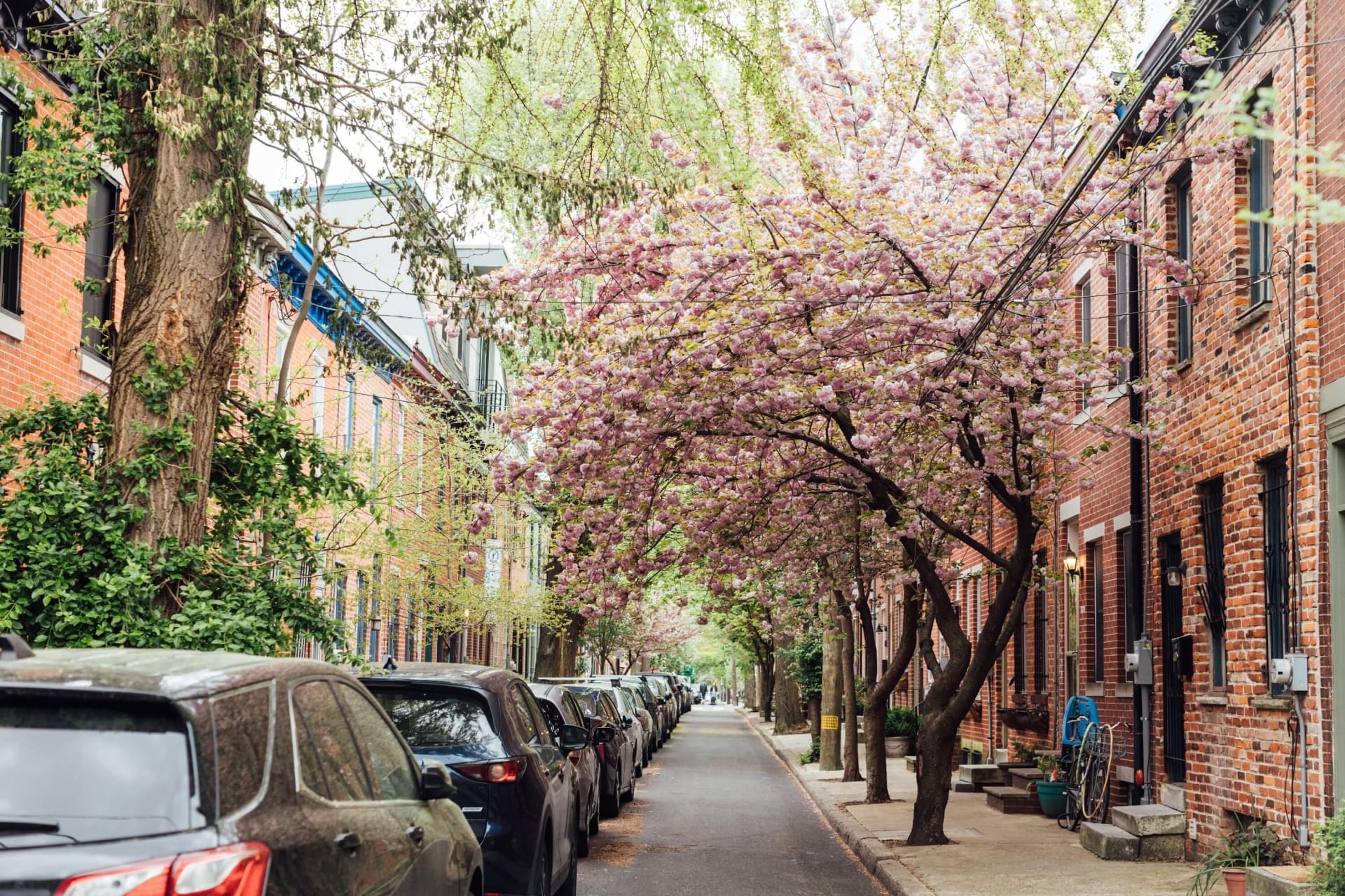Julian Domanico | NYC & Philadelphia Real Estate Sales Professional in Philadelphia, PA (4)