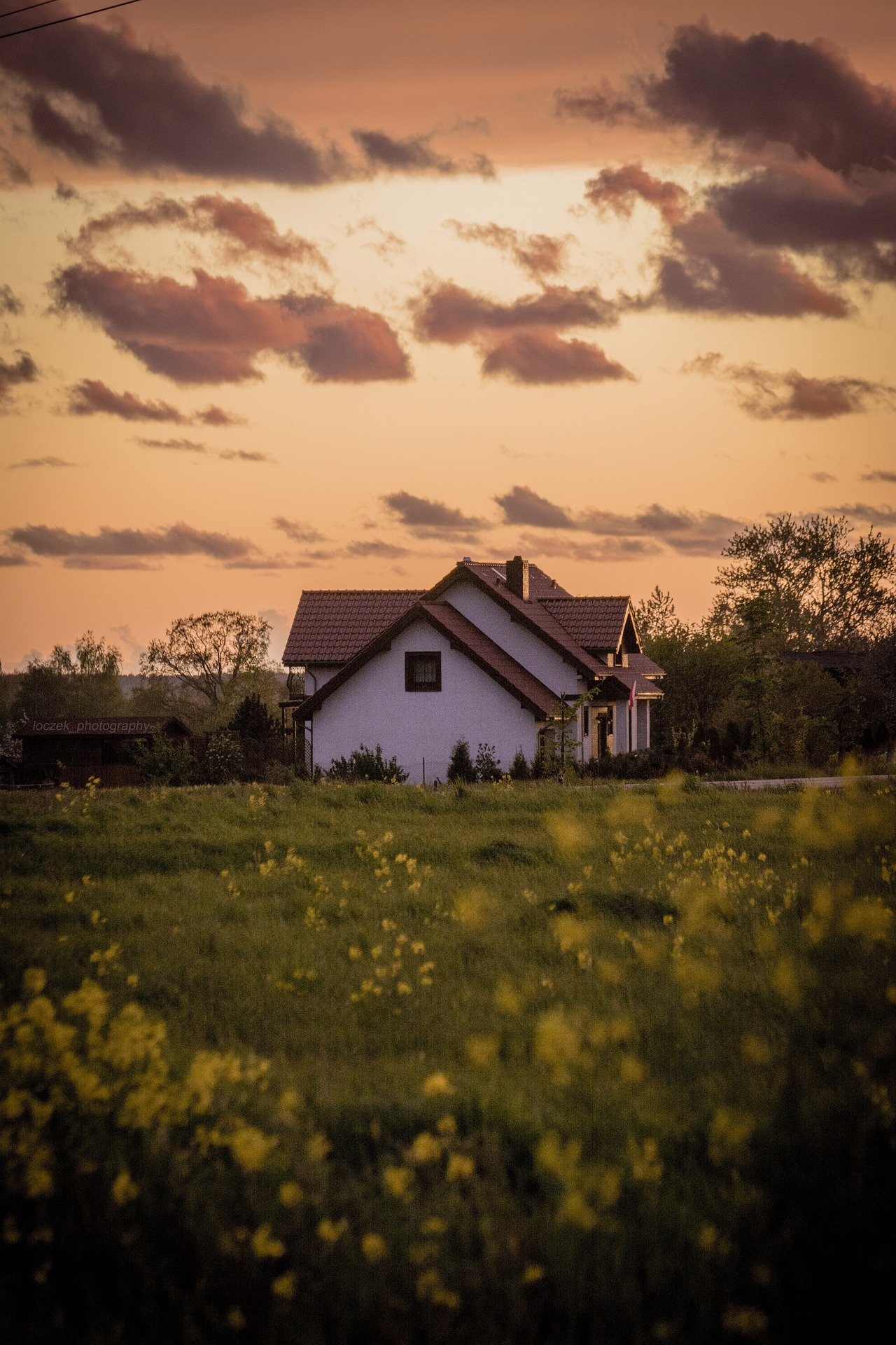 Anne Land Real Estate in Springtown, TX