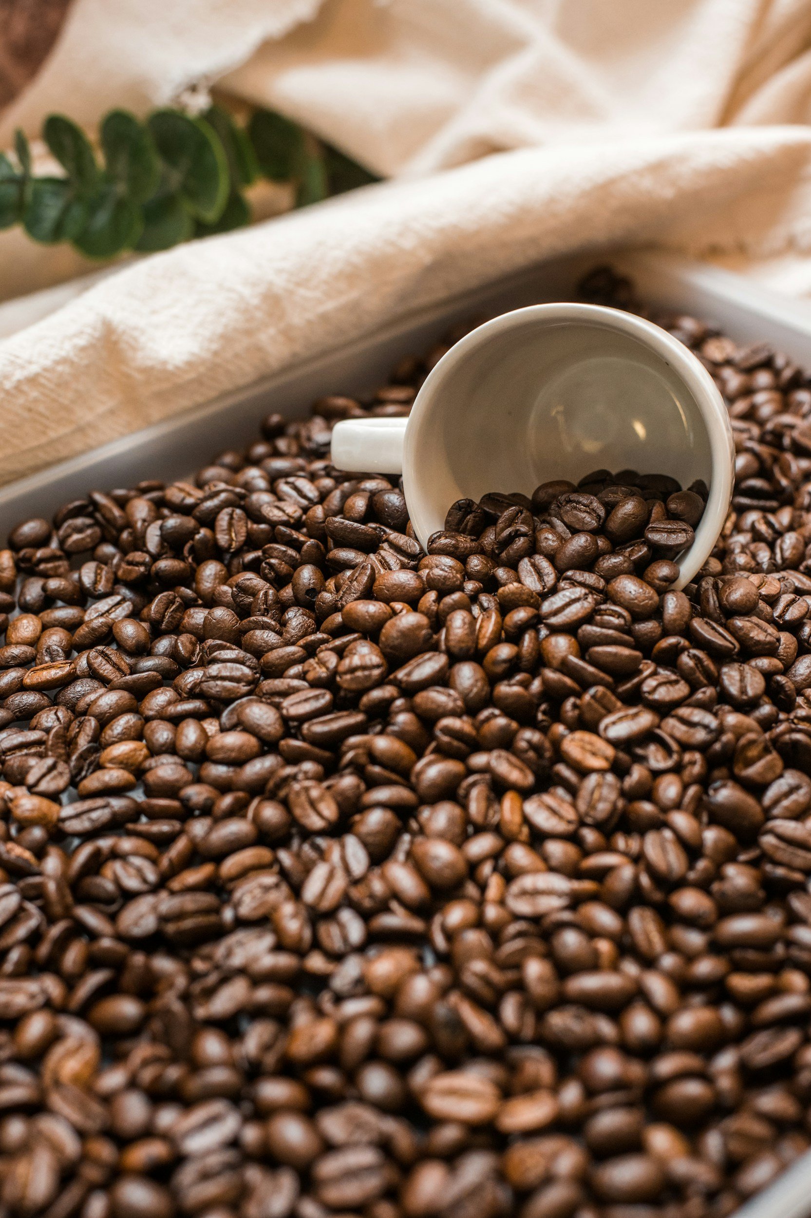 Adventurer's Coffee Co. in Calera, AL (2)