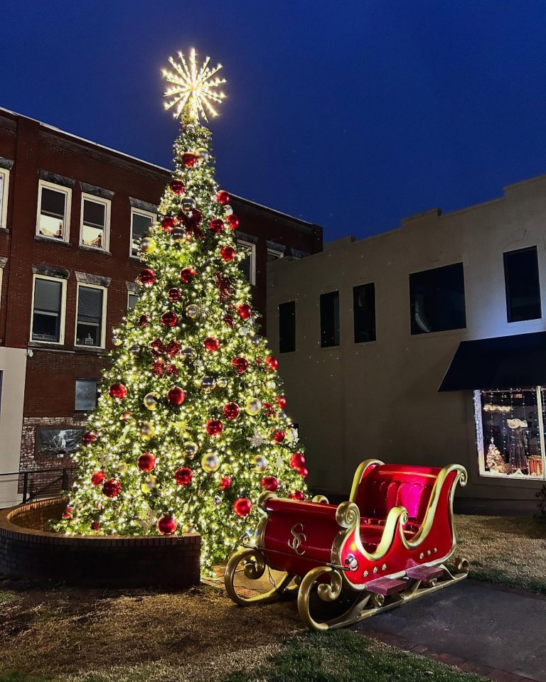 Murphy Business Association in Murphy, NC (5)