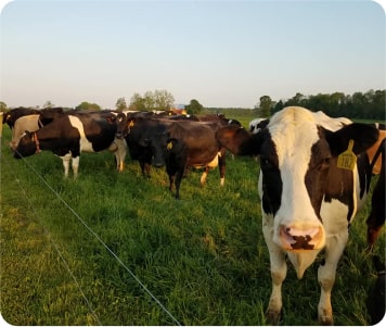 Apple Valley Creamery, LLC. in East Berlin, PA (3)