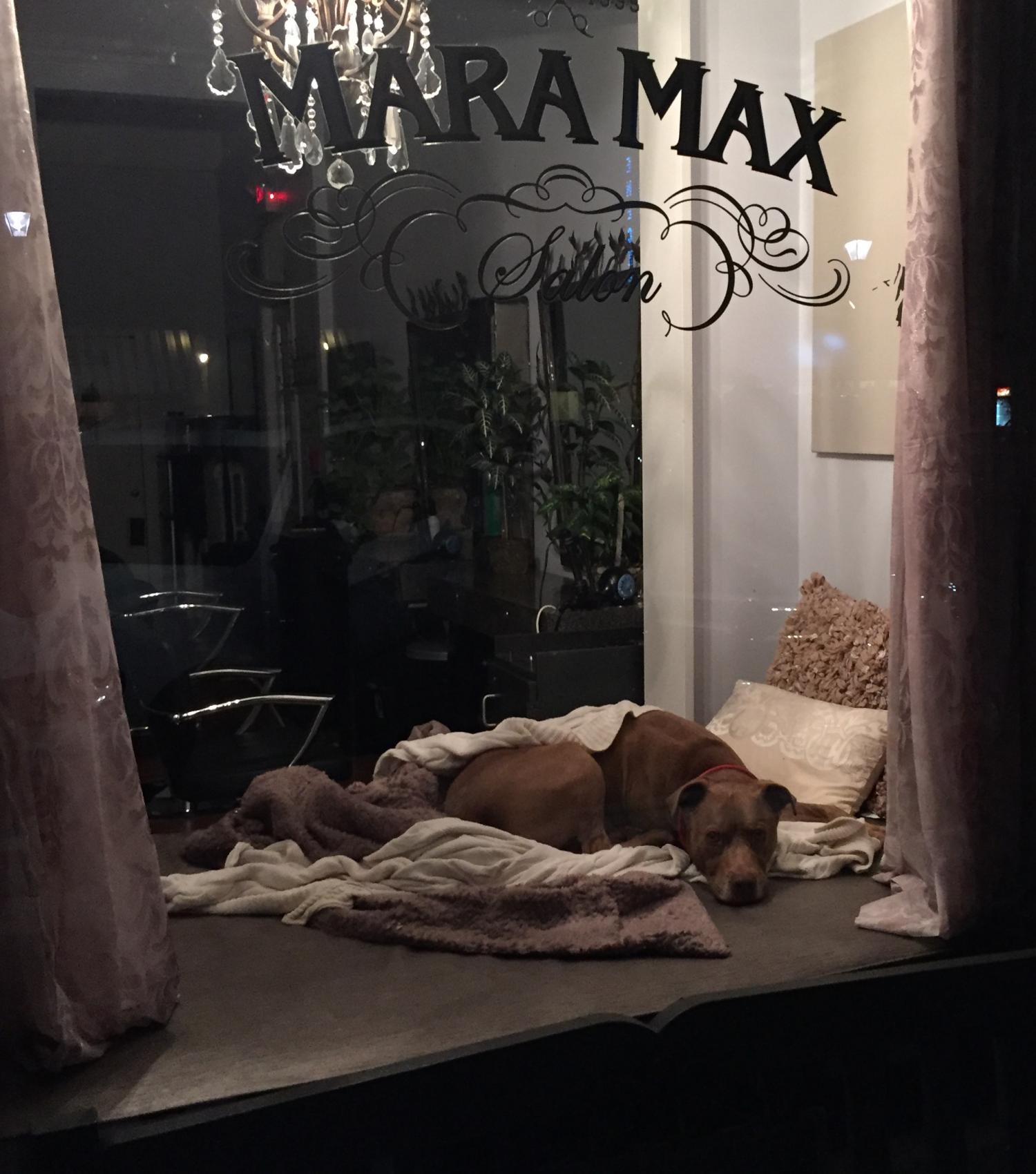 Mara Max Hair Salon PC in Glencoe, IL (2)