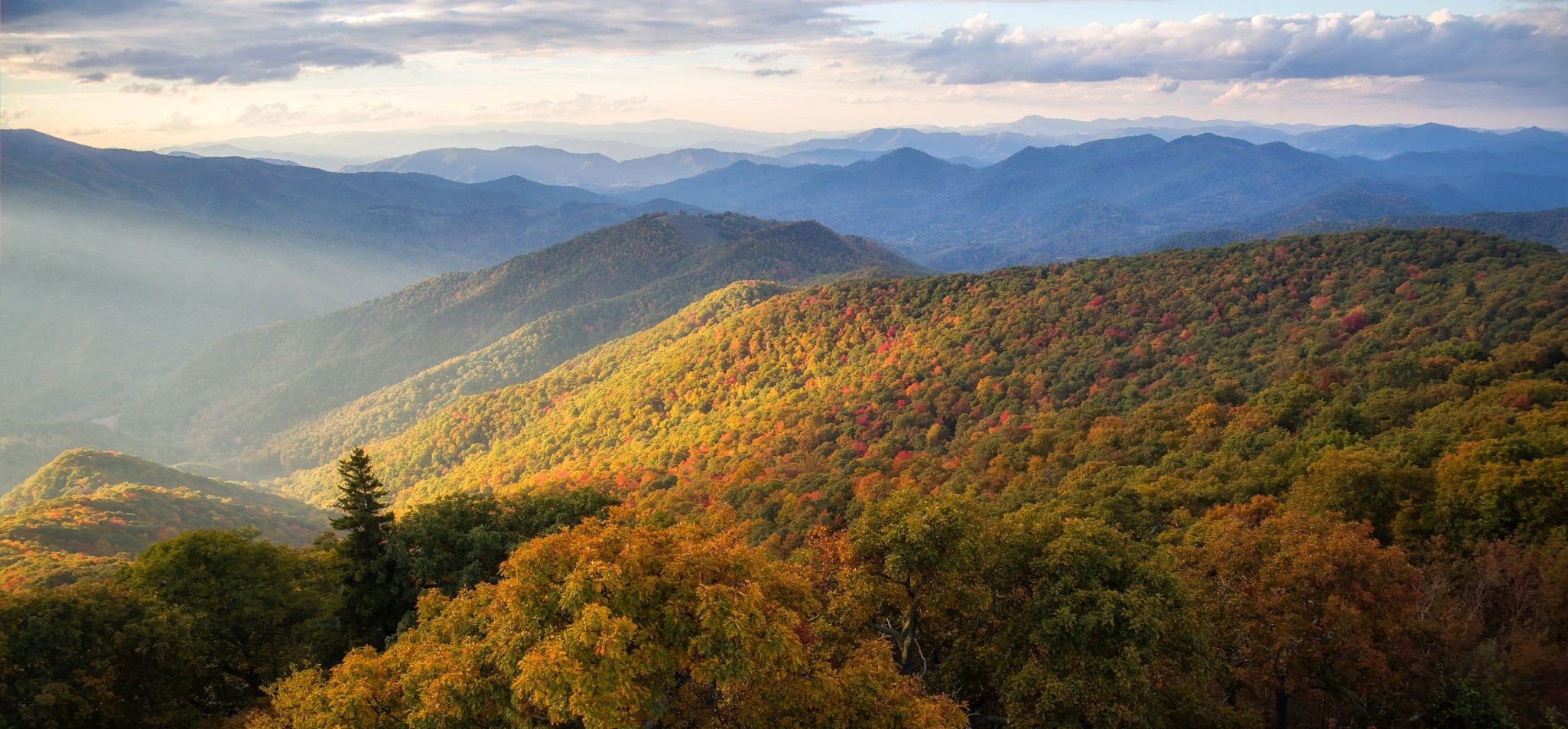 Mason Peak Mountain Properties, LLC in Franklin, NC