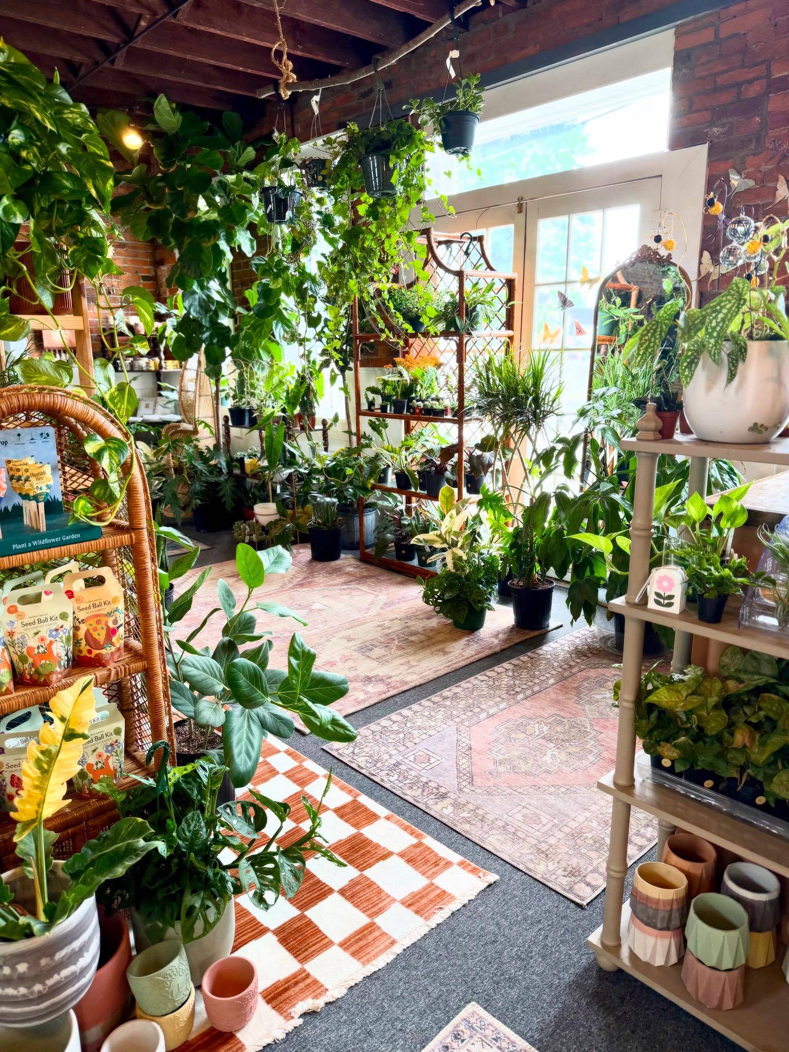 Sunshine Sisters Plant Shop in Batesville, IN (2)