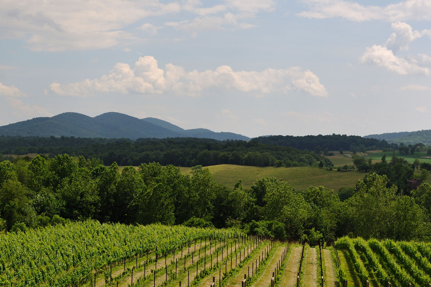 Westhills LTD Realtors in Fishersville, VA (3)