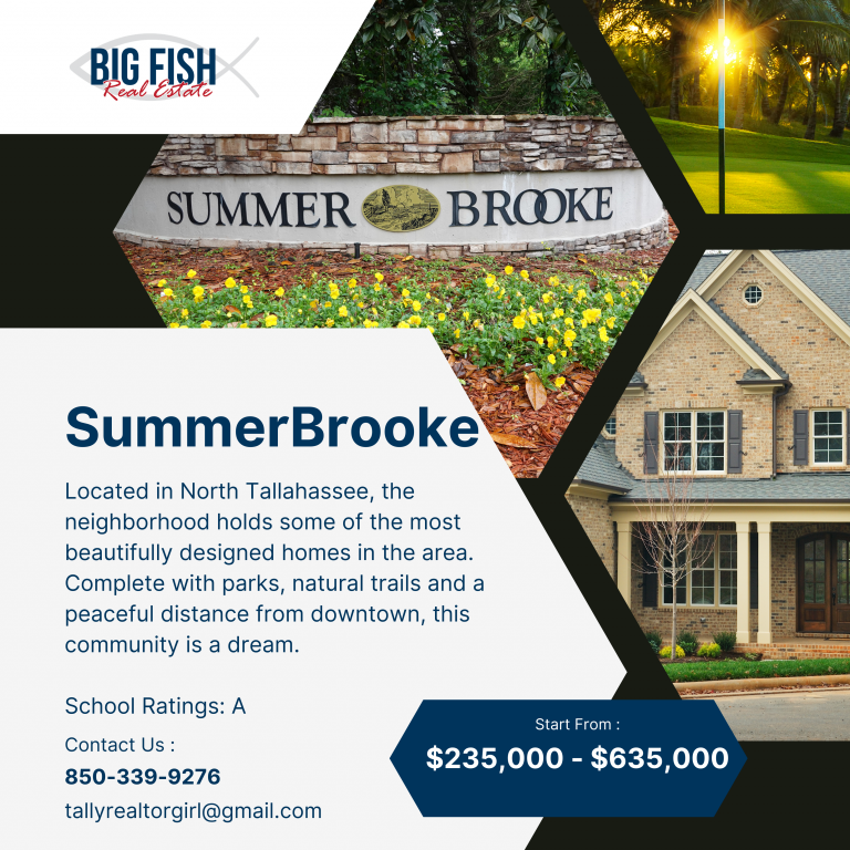 Tina Coombs, Big Fish Real Estate Services, LLC in Tallahassee, FL (2)