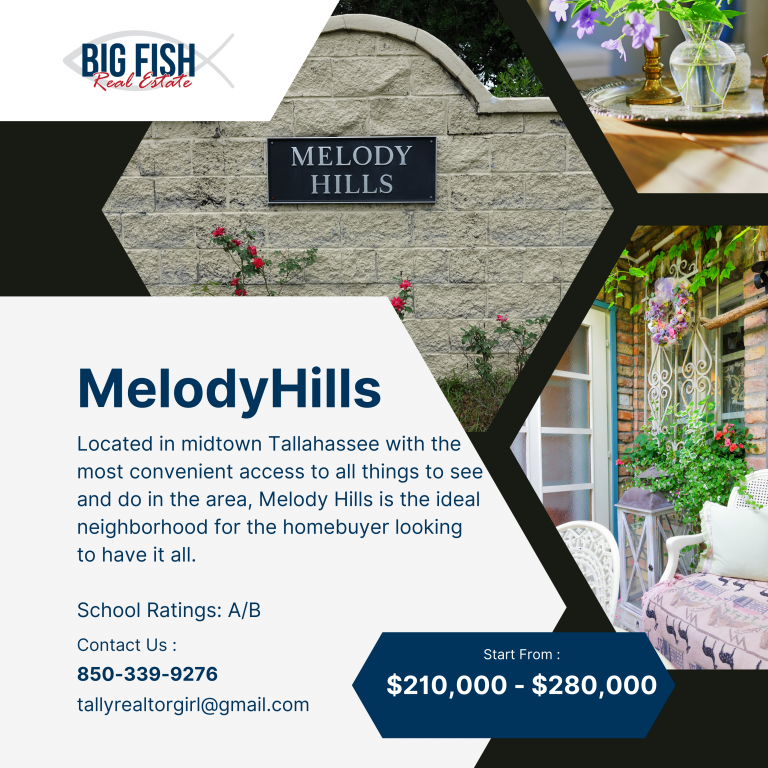 Tina Coombs, Big Fish Real Estate Services, LLC in Tallahassee, FL (3)
