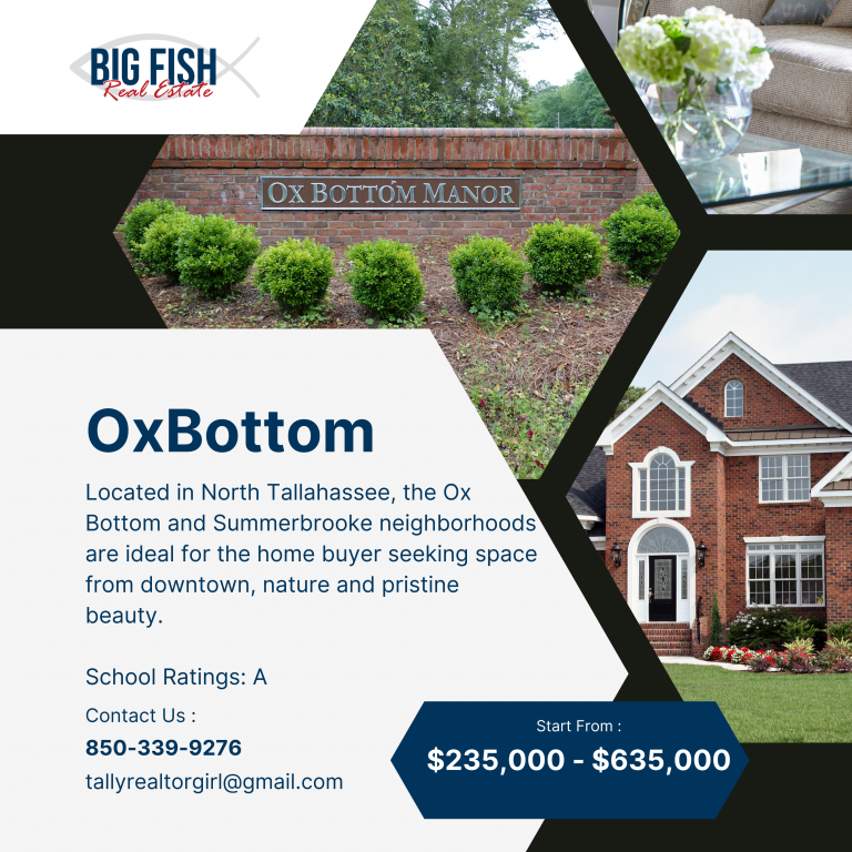 Tina Coombs, Big Fish Real Estate Services, LLC in Tallahassee, FL (4)